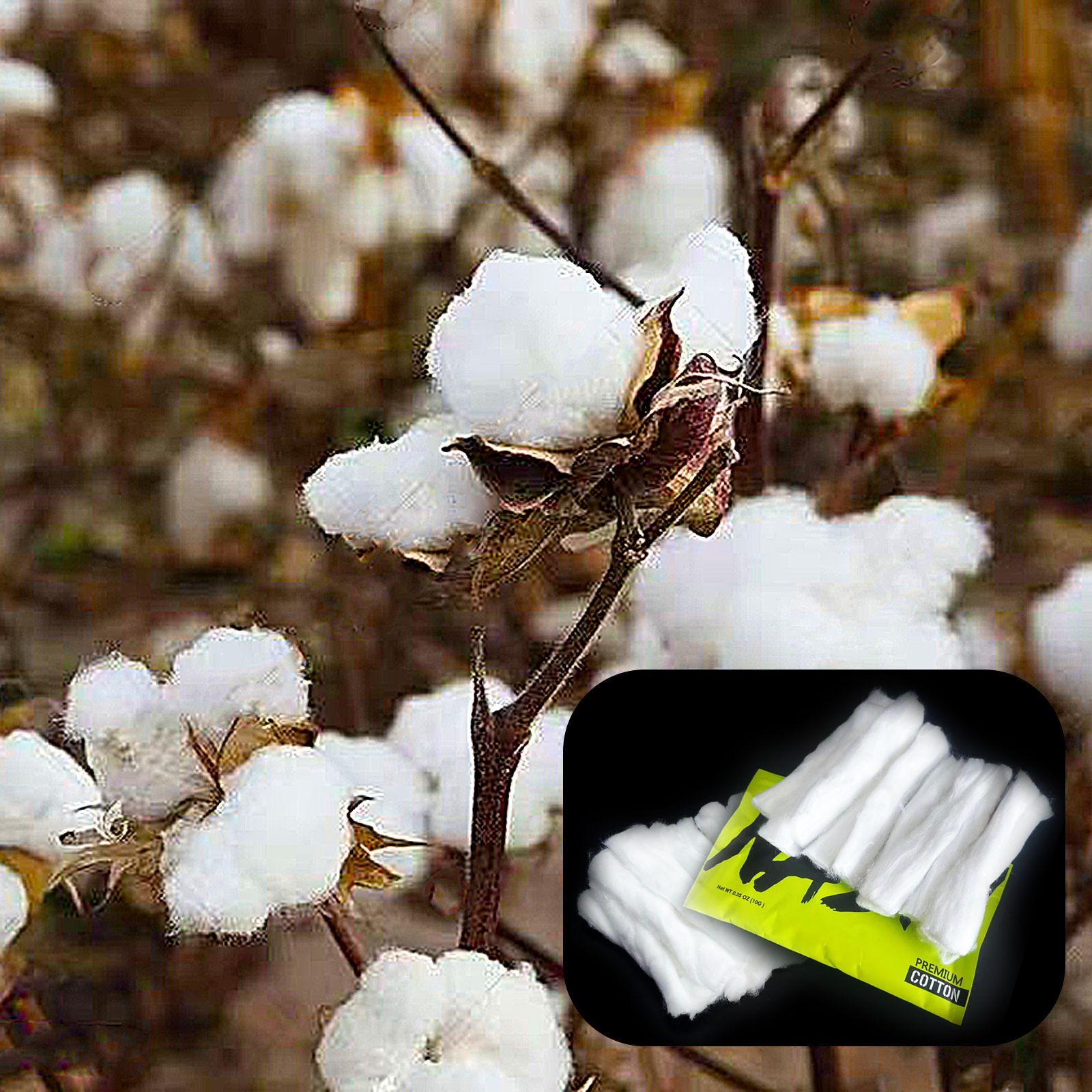10/5/3Packs Home DIY Natural C - đánh giá và giá Cotton Wick Organic