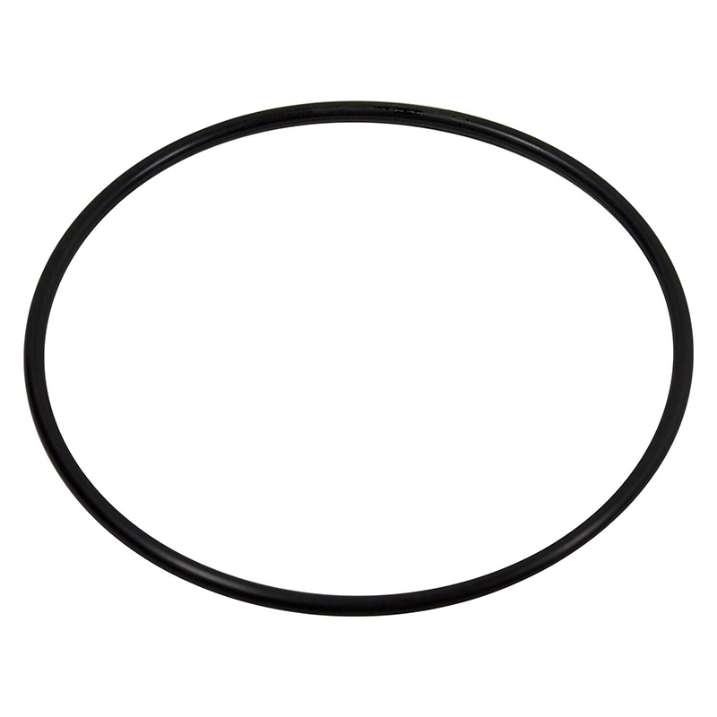 O-Ring For Nissan Patrol GQ Y6 - đánh giá và giá Tank O-Ring Seal